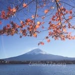 Avatar de Lorenzo Robles